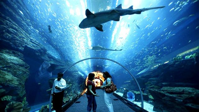 عالم تحت الماء بلنكاوي