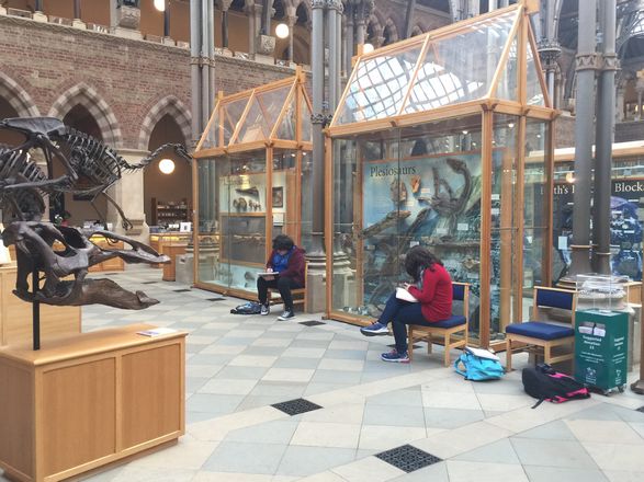 موقع متحف اكسفورد للتاريخ الطبيعي
