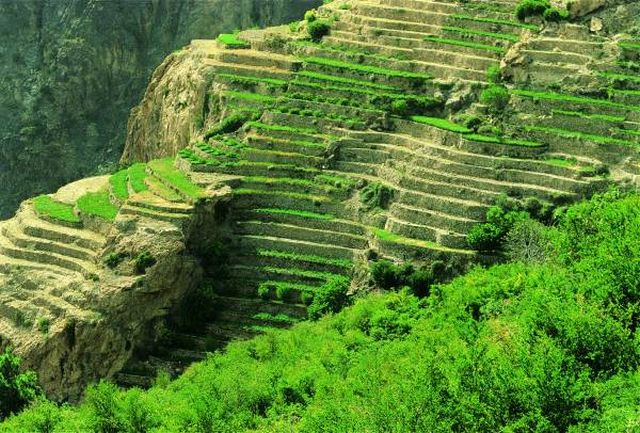 الجبل الأخضر سلطنة عمان اماكن سياحية في نزوى