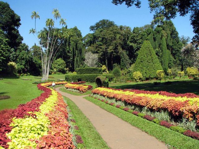 حديقة قرود بينانج
