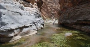 وادي تنوف