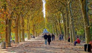 غابة بولونيا - اجمل حدائق باريس