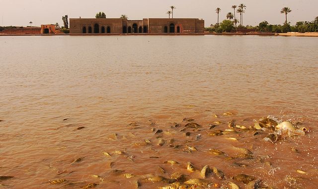 حدائق اكدال في مراكش