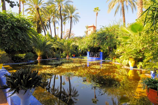 حديقة ماجوريل في مراكش