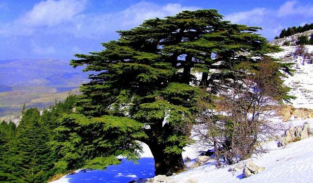 اماكن سياحية في جبل لبنان