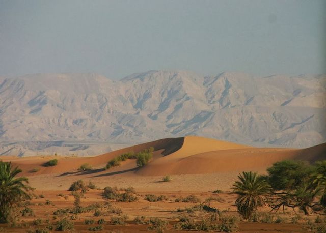 موقع وادي عربة العقبة