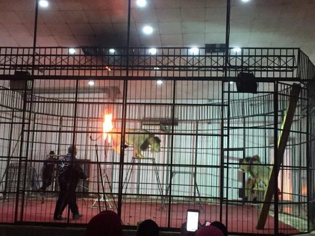 منتزه الجبل الاخضر في الطائف