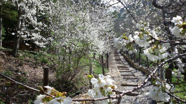 اماكن سياحية في شمال لبنان