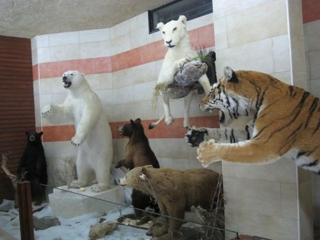 متحف الحيوانات المحنطة في بنشعي