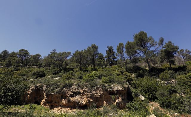 مدينة الزرقا الاردن