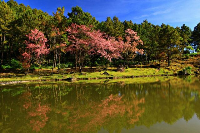 حديقة دوي انتانون الوطنية في شنغماي