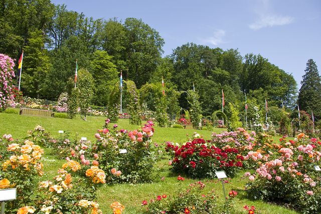 حديقة زهور بادن بادن