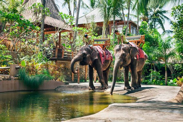 حديقة الفيلة في لومبوك