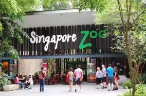 حديقة حيوانات سنغافورة