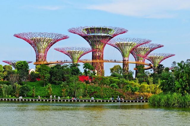 حدائق الخليج في سنغافورة