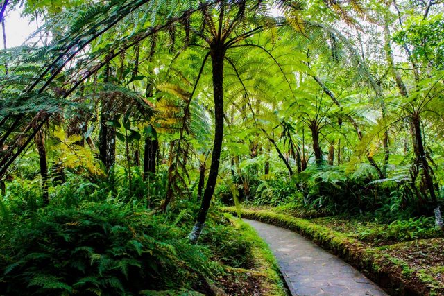 حديقة هاكغالا النباتية نوراليا