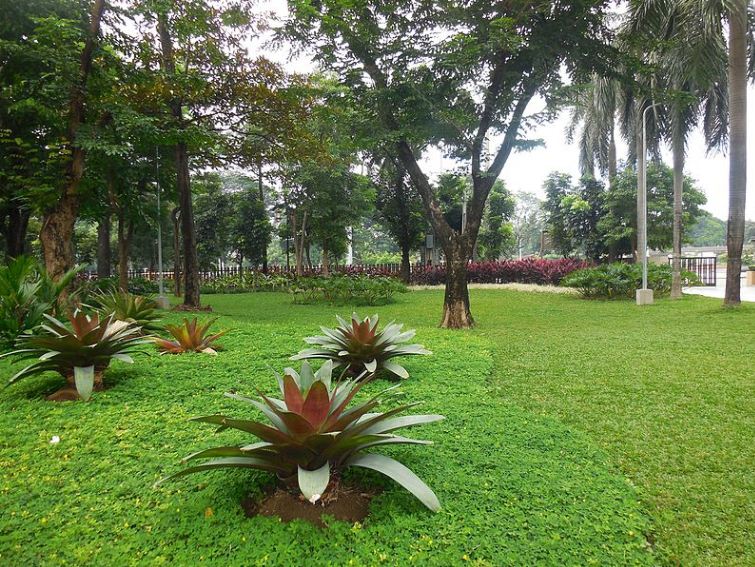 حديقة ميهان مانيلا