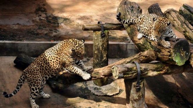 حدائق الحيوان الوطنية في سري لانكا