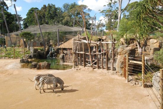 موقع حديقة حيوان اوكلاند