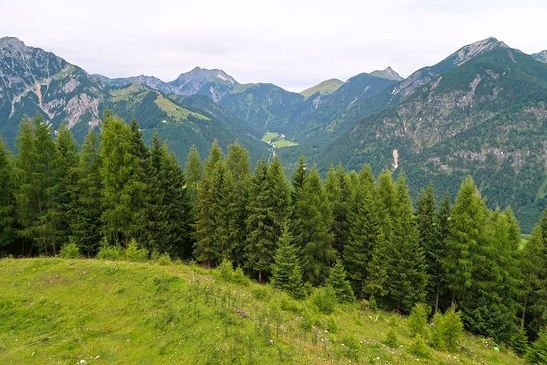 بيرتساو النمسا