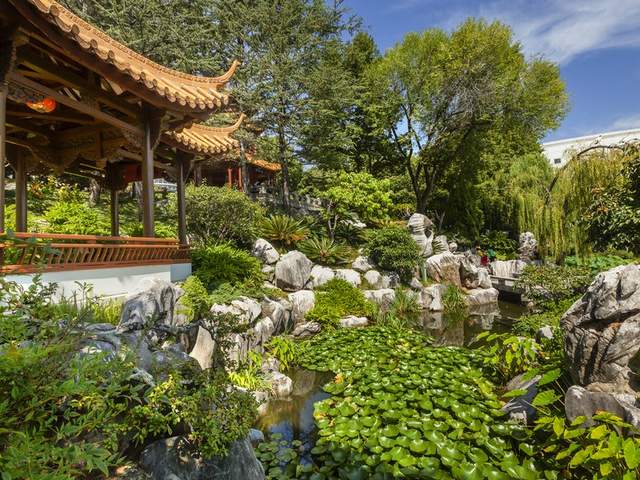 الحديقة الصينية في سيدني