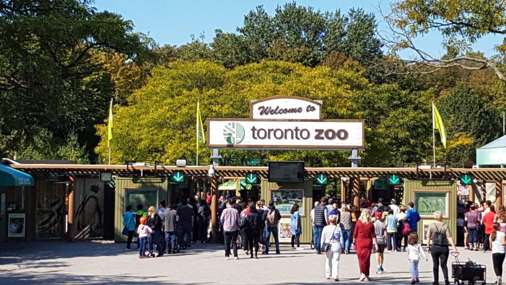 حديقة حيوانات تورنتو