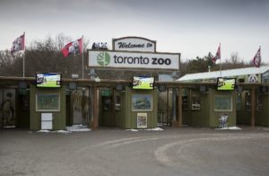 حديقة الحيوان في تورنتو