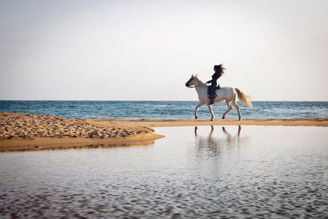 اين تقع بحيرة بليد