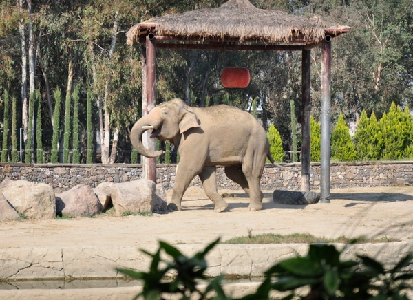 حديقة الحيوانات في ازمير