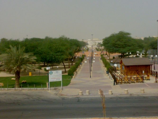 حديقة النهضة