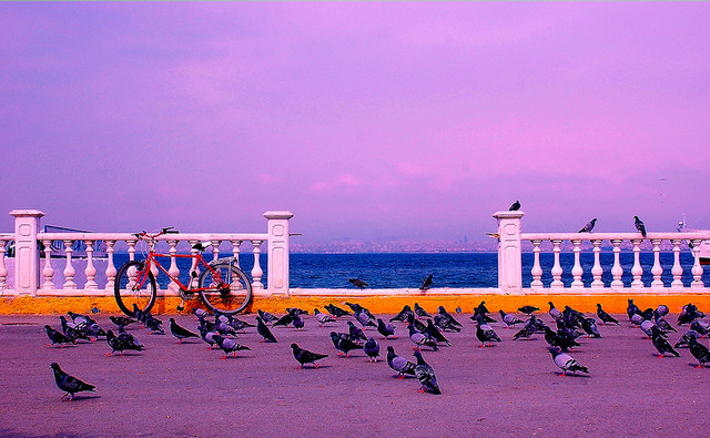 جزيرة الاميرات اسطنبول