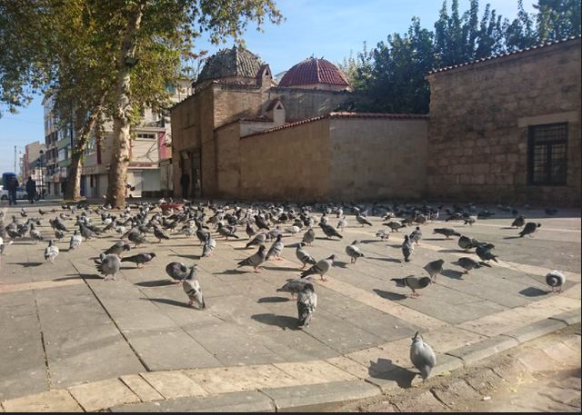 مسجد بورصة الكبير في تركيا