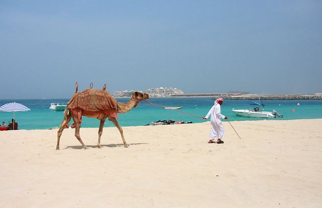 شاطئ الجي بي ار دبي