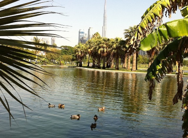 حديقة صفا دبي