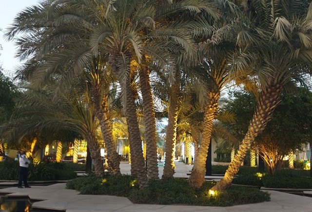 حديقة ام الامارات ابو ظبي