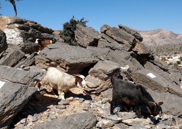 جبل الشمس في سلطنة عمان