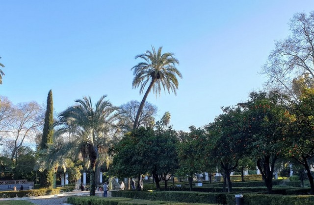 حديقة ماريا لويزا اشبيليه