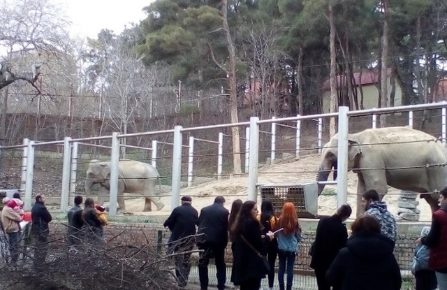 حديقة الحيوان تبليسي