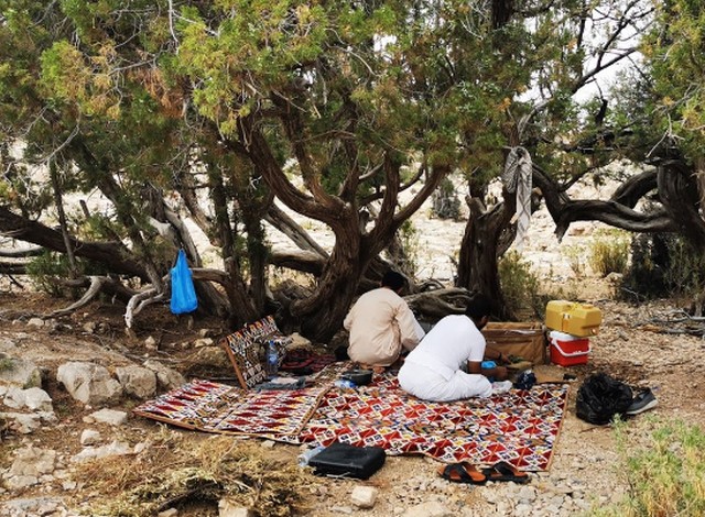 الجبل الاخضر في سلطنه عمان