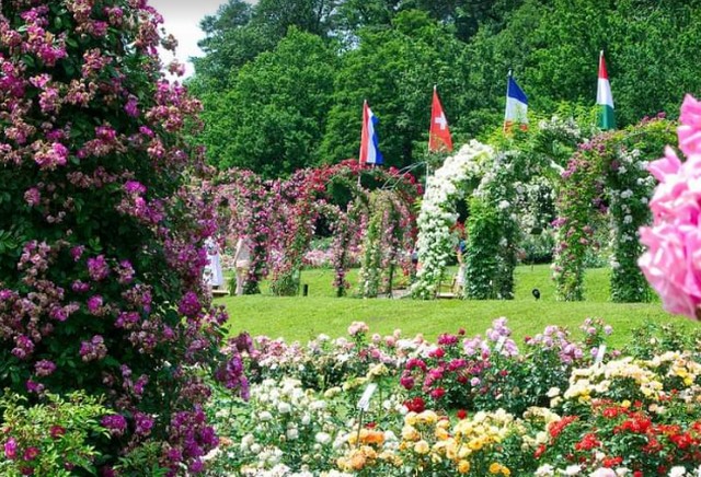 حديقة الزهور بادن بادن