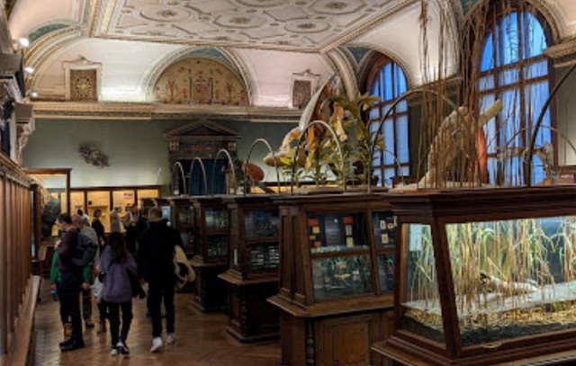 متحف التاريخ الطبيعي بفيينا