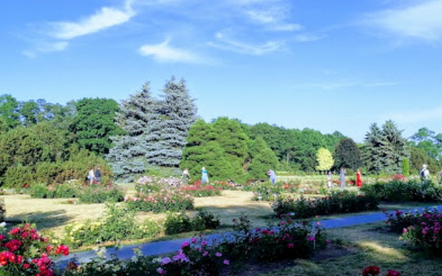 حديقة مينسك النباتية بيلاروسيا