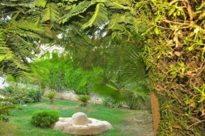 فندق شهرزاد شرم الشيخ