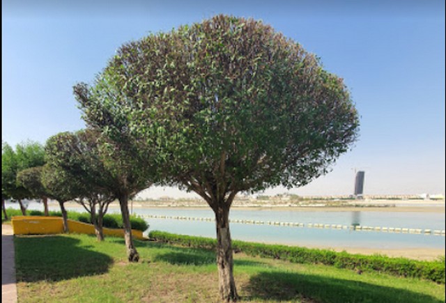 منتزه الوطنية الخيران بالكويت