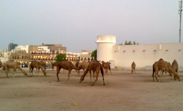قلعة الكوت في قطر