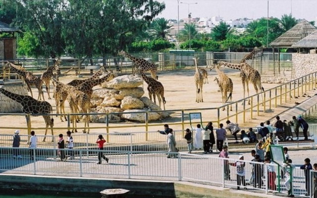 حديقة حيوانات الدوحة