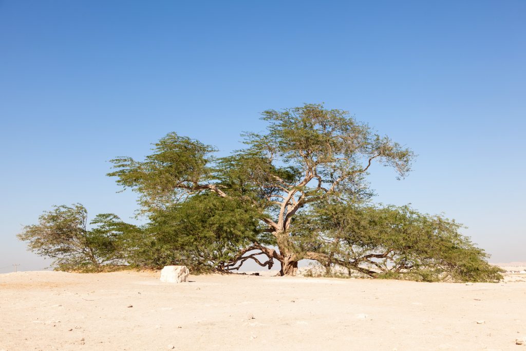 اماكن سياحية في البحرين